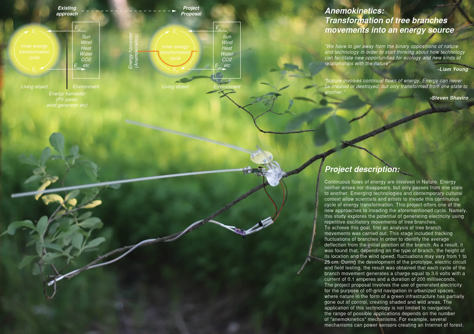Anemokinetics: Transformation of tree branches movements into an energy source 风能动力学：将树枝运动转化为能量