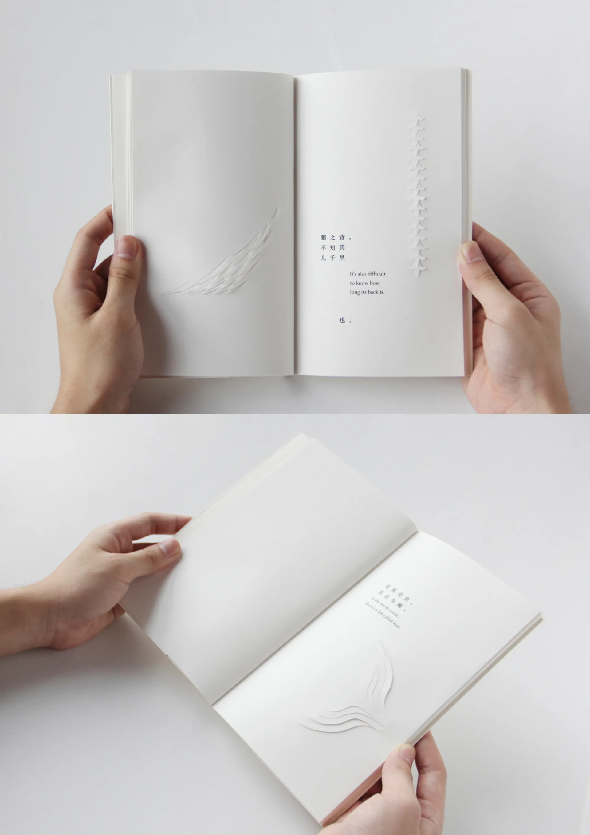 Book of Freedom 逍遙游