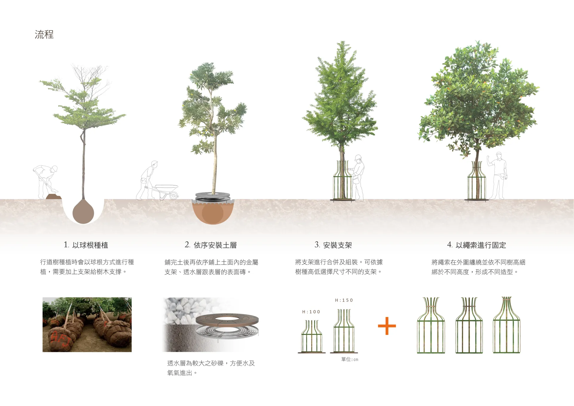 行道樹是都市景觀的重要推手，但常常因為支架的隨意架設而破損，甚至死亡。本設計－樹皿－透過竹材的韌性，可以對應不同行道樹的高度調整其固定位置，形成不同造型。