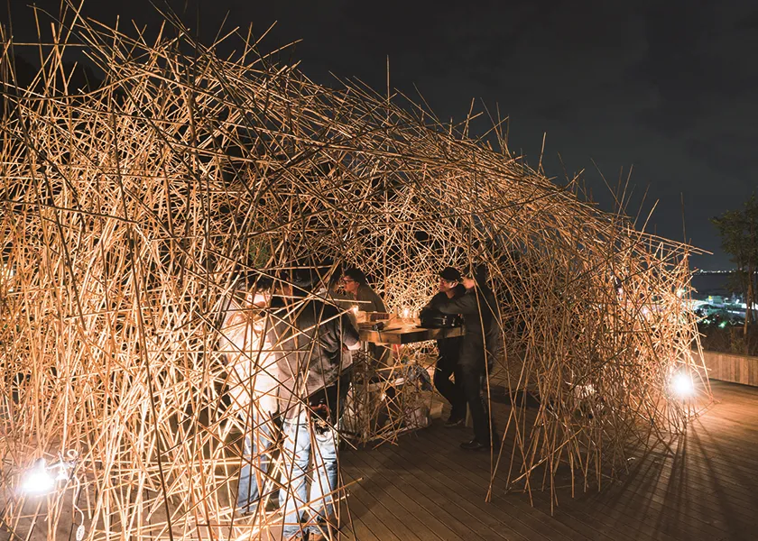 要齐庵大学位于在琵琶湖的意见，我用来种植琵琶湖“芦苇”的地方 该酒吧的设计。