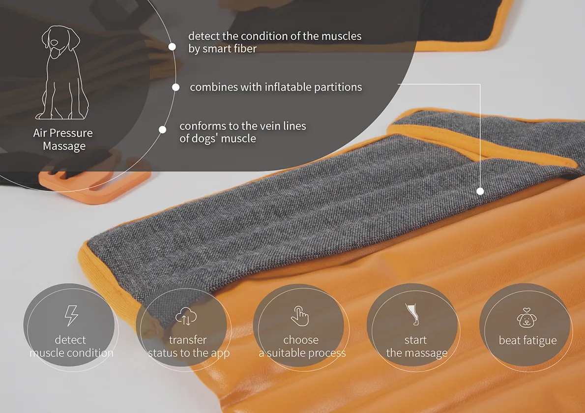 P.SAR為一款搜救犬職傷防護套組，以日常防護為目標，讓搜救犬們從訓練時就開始預防，針對搜救犬日常訓練時以及訓練過後和災區工作的休息時段，採氣壓按摩的方式為犬隻舒緩緊繃肌肉，並搭配生理機能檢測器，來隨時偵測生理數據，幫助設計合適的運動計畫，以維持良好的身體狀態並獲得更完善的照護。 　　按摩用具採氣壓的方式，以形成最佳包覆性，因空氣的反覆灌注與釋放對犬隻產生施力，且可藉由氣壓的變化控制力道，以不超過４盎司適用於犬隻的力道避免犬隻受傷。內層採順應肌肉紋理的構造，並搭配分區充氣，可針對較緊繃之區塊加強舒緩，使按摩的功效達到最大值，並透過肌電位檢測布料將肌肉狀況傳至APP。