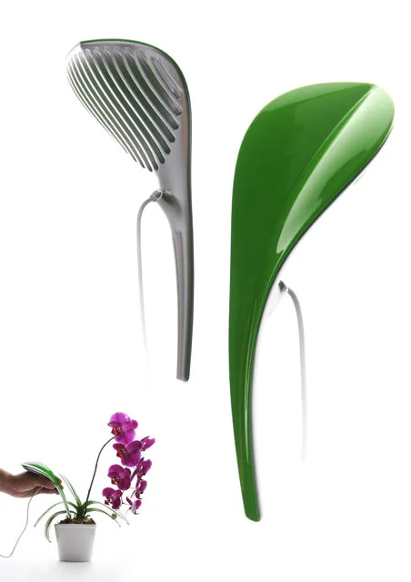 花‧露水 Dew drop