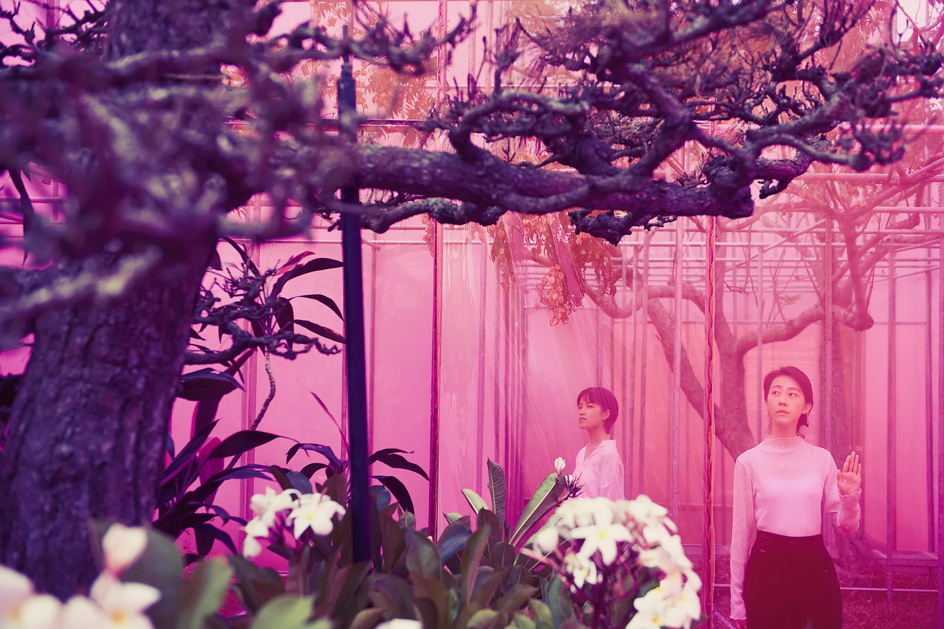 設計採用桃園在地溫室農業結構的鍍鋅管料,塑造一架新的眷村外骨骼皮層,搭配在地紡織廠所生產的彈性科技紗與工業防水布,創造出新的展覽尺度與遊逛路徑,跨接室內外空間,達成遊園式穿梭的獨特身體經驗