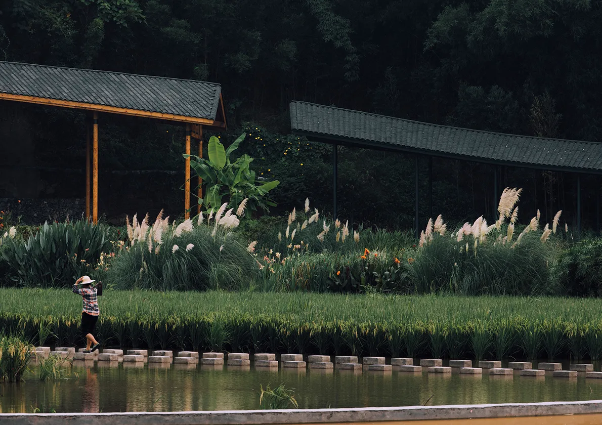 远离道路清幽静谧的一座保护较好,拆除改造,与禅修结合形成相对静谧的禅修书院;紧临道路开敞嘈杂的一座破损严重,拆除新建,与乐坊结合形成相对开放的乐坊书院