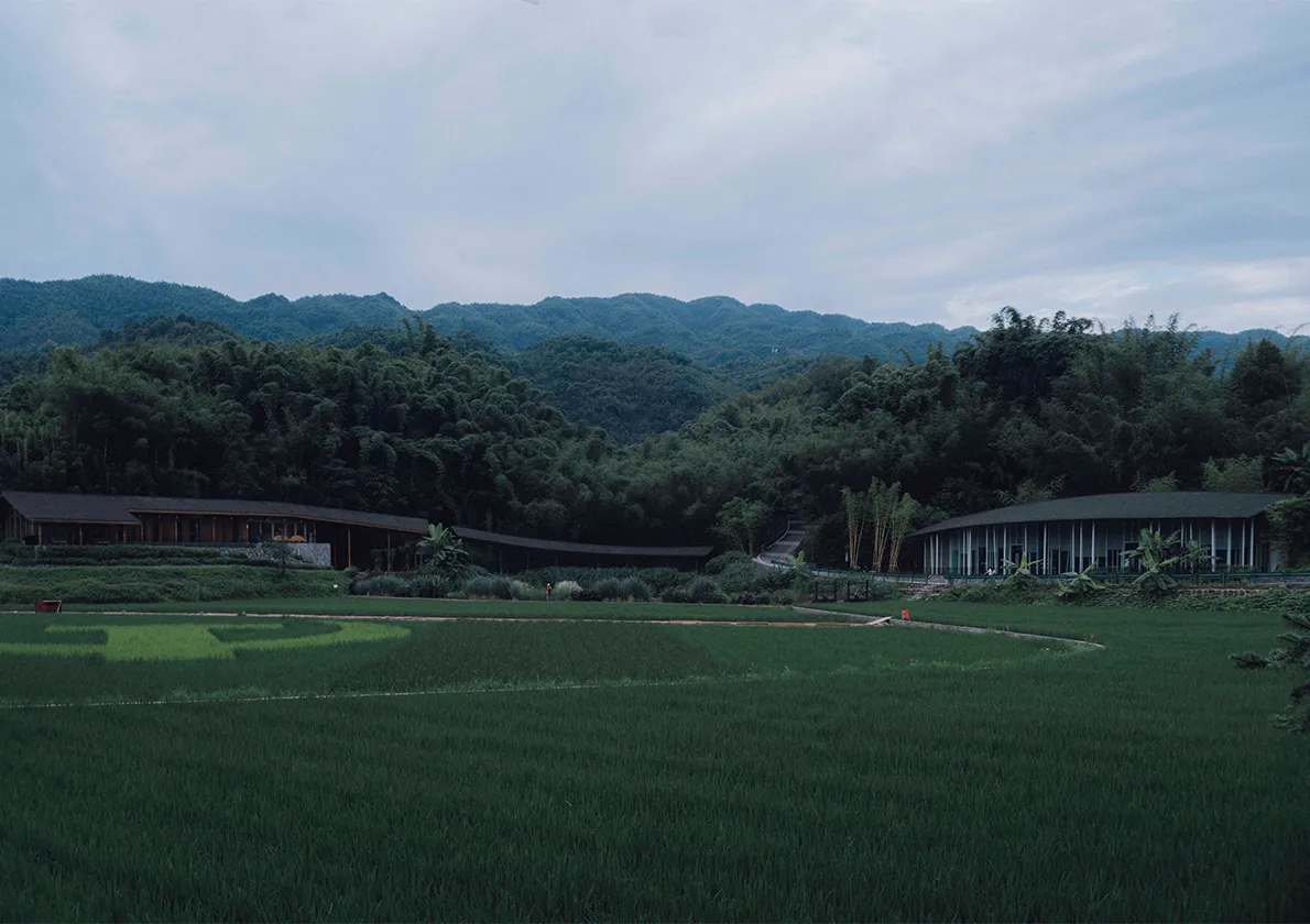 “竹枝书院”由两座川南老宅重塑而成,两座建筑要将乐坊、书院、禅修三个功能安置妥当