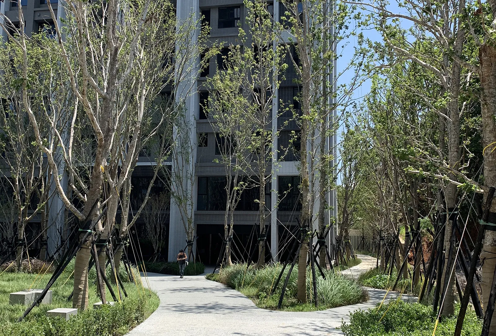 設計想像將周遭公園自然地融入於環境之中，周遭是一片原始林山坡地